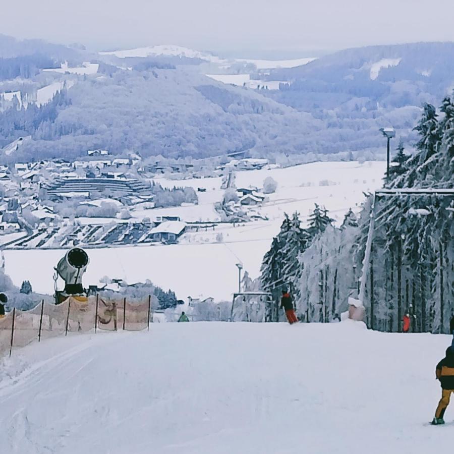 Yalet Ferienhaus 2 Appartementen Vlakbij Willingen Brilon-Wald Exteriör bild