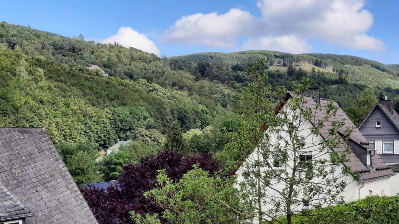 Yalet Ferienhaus 2 Appartementen Vlakbij Willingen Brilon-Wald Exteriör bild