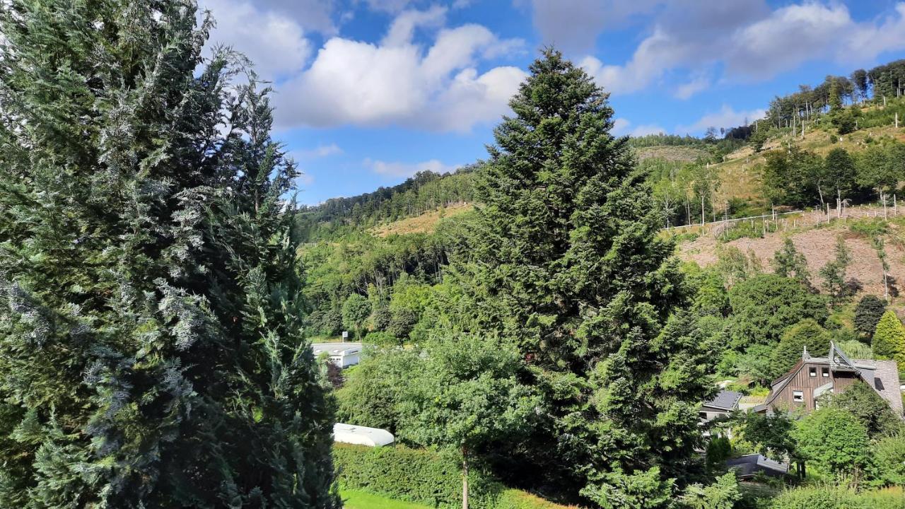 Yalet Ferienhaus 2 Appartementen Vlakbij Willingen Brilon-Wald Exteriör bild